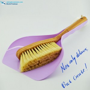 Akbrand Bamboo kahva Dustpan -harja